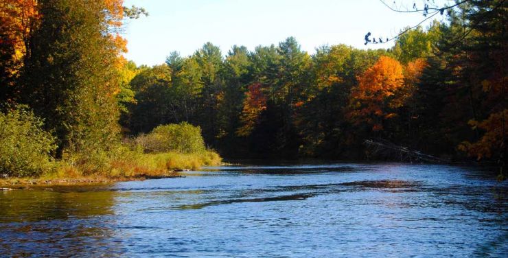 Clean Water in Muskoka